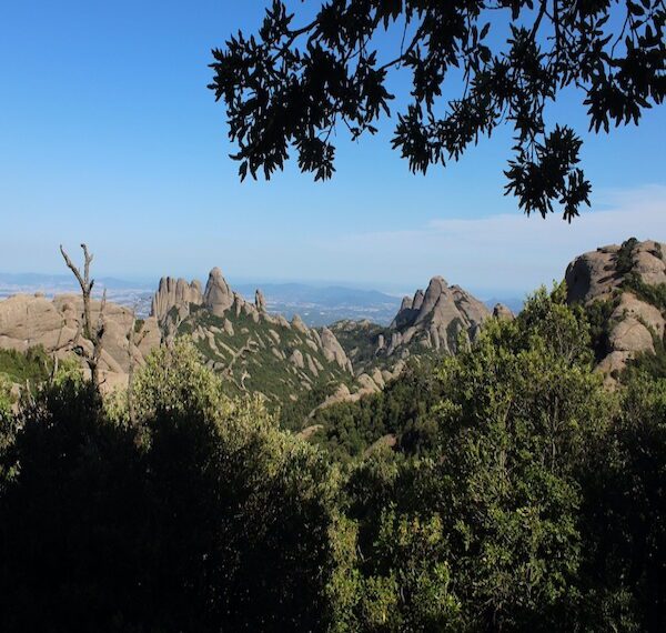 Sant Jeroni Summit Montserrat – The Best Day Trip From Barcelona