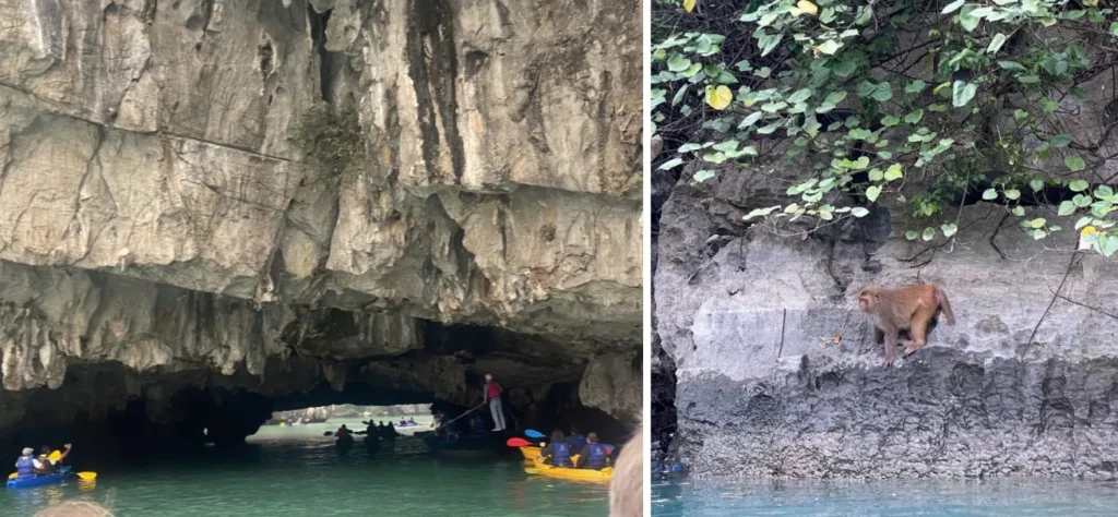 Hang Luon halong bay