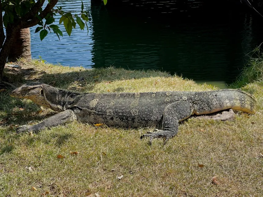 best parks in bangkok