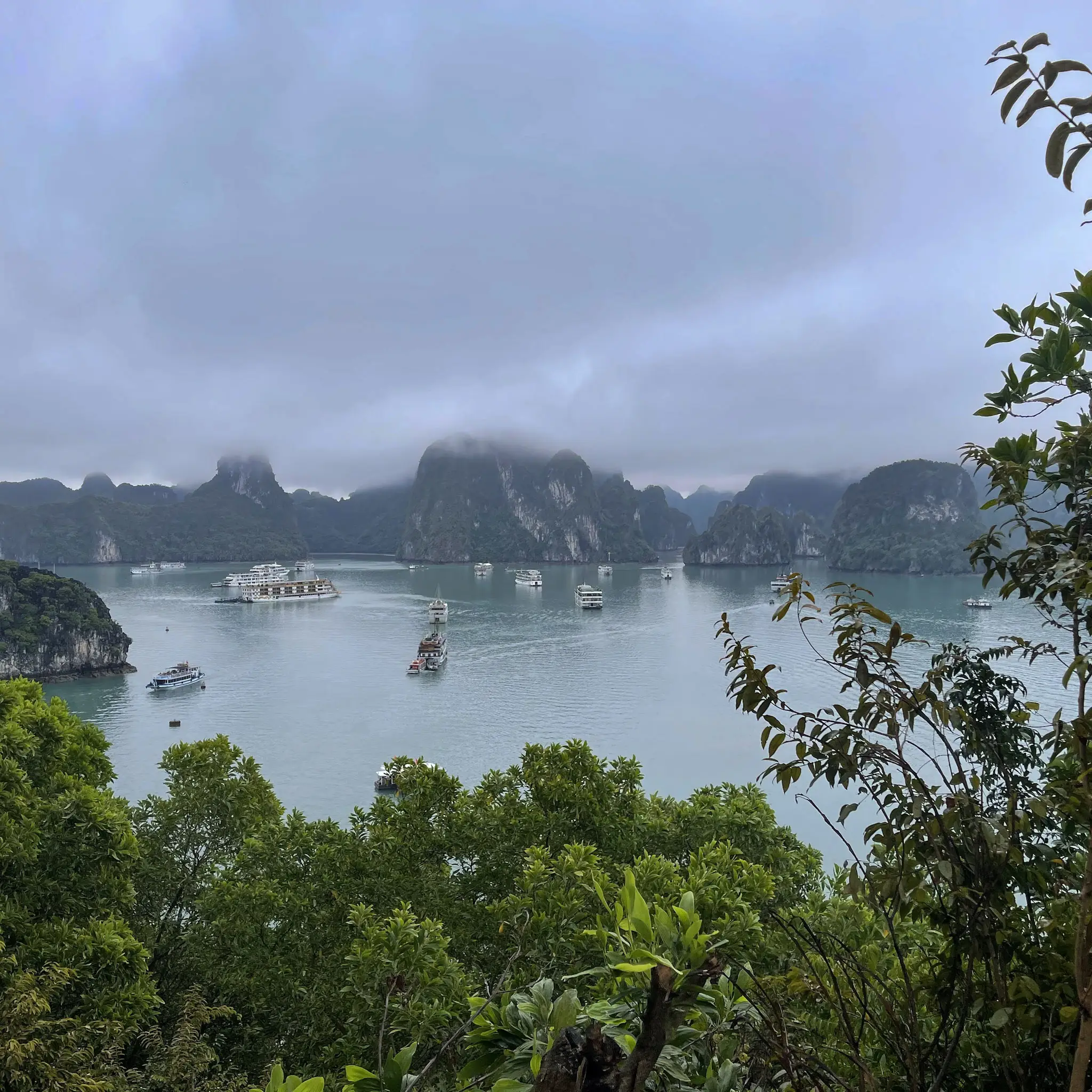 Athena Royal Cruises Review | Halong Bay