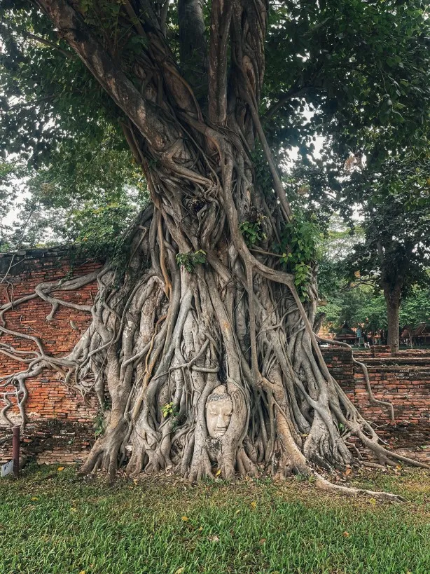 Ayutthaya