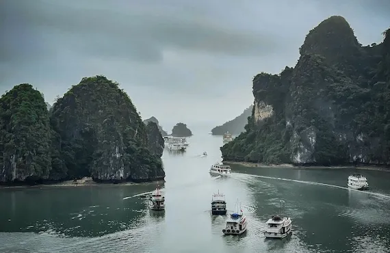 Is Athena Royal the Best Halong Bay Cruise? Complete Review