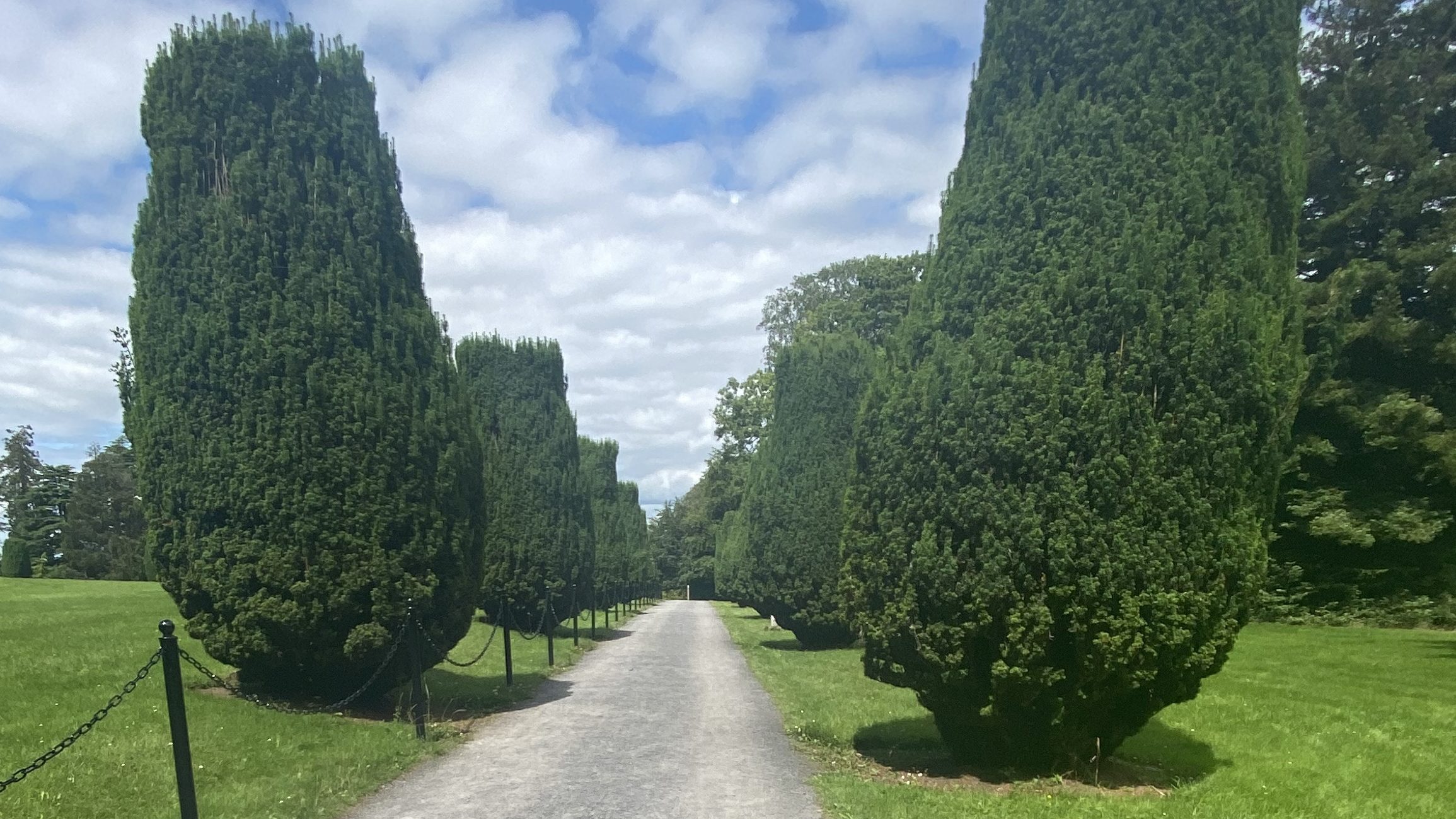 Emo Court - Things to do near Tullamore