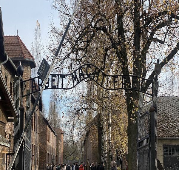 What to expect in Auschwitz