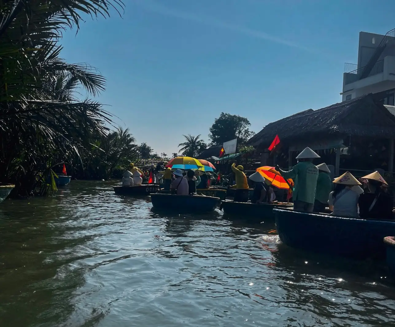 cocout forest hoi an