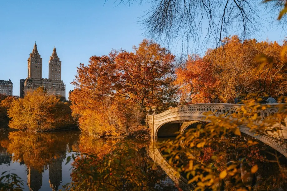 central park in autumn