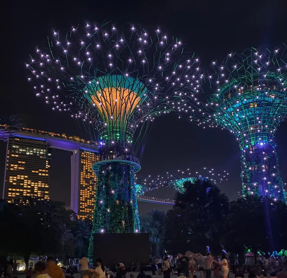 GARDENS BY THE BAY AT NIGHT