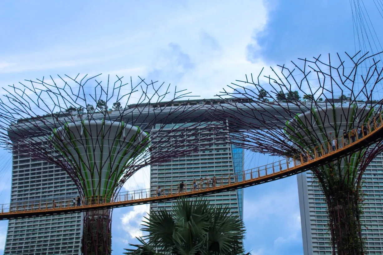 singapore on a budget