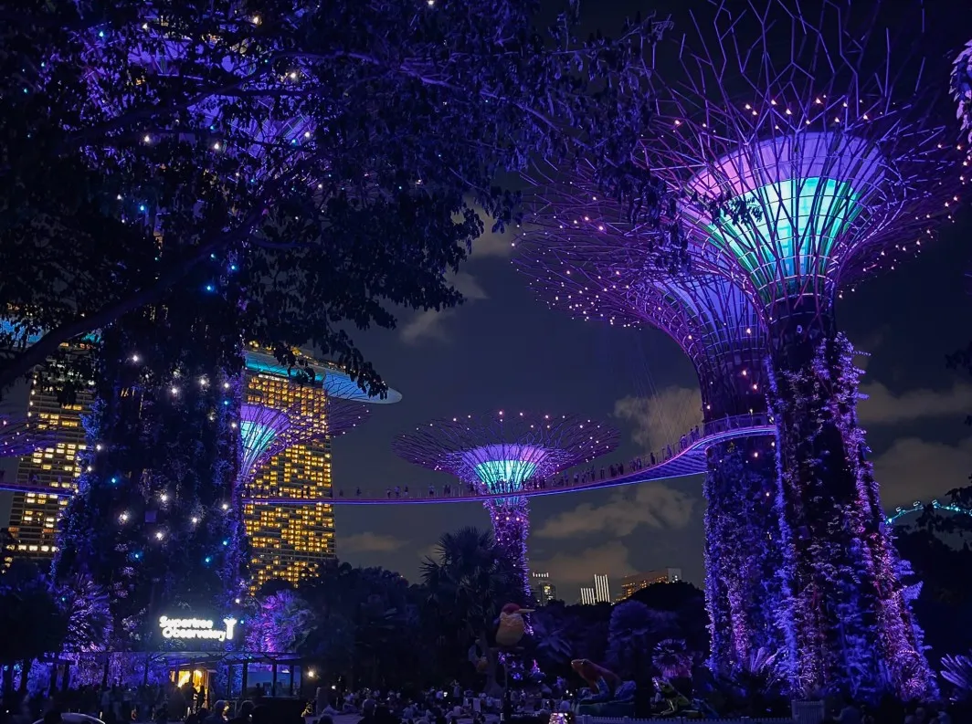 things to do for free at night in singapore