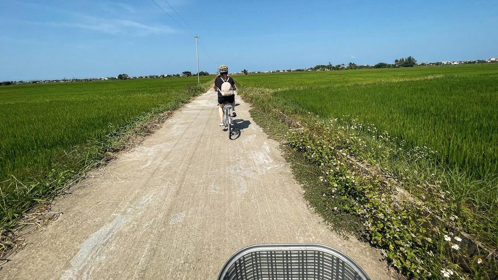 Cycling through the lush rice fields of Hoi An