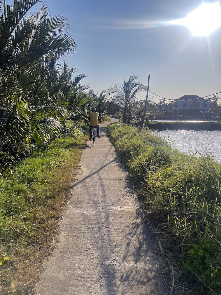 cycling through Hoi An rice fields in Spring