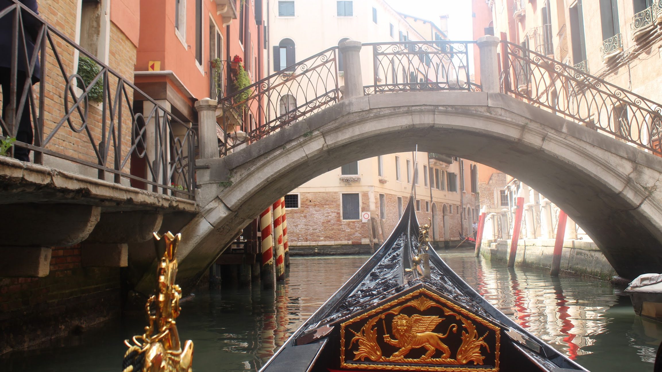 gondola rice - best things to do during one day trip to Venice
