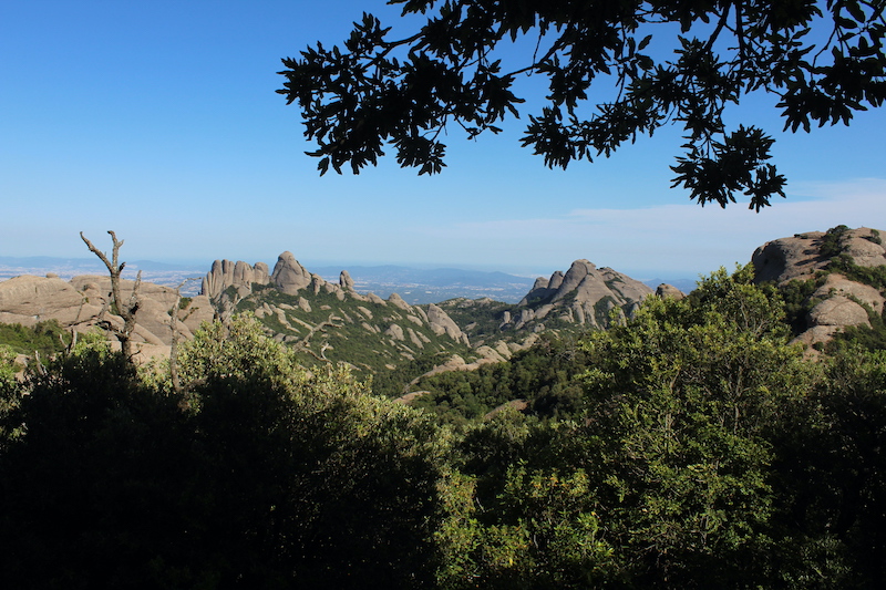 Sant Jeroni Summit, Montserrat