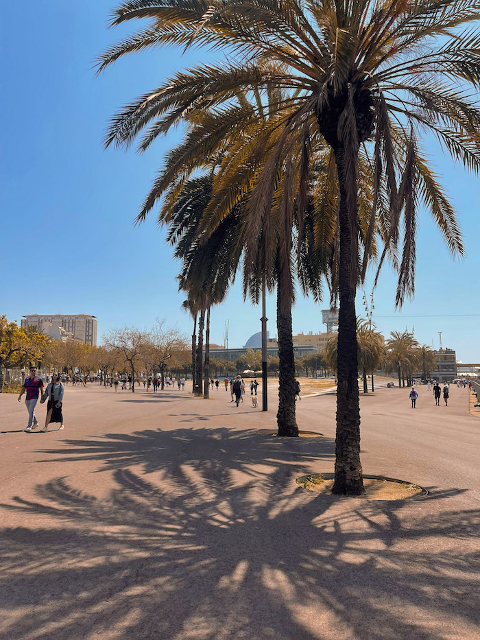 La Barceloneta, best area in Barcelona