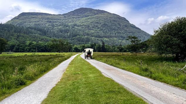 Killarney National Park - 2 Day Killarney Itinerary