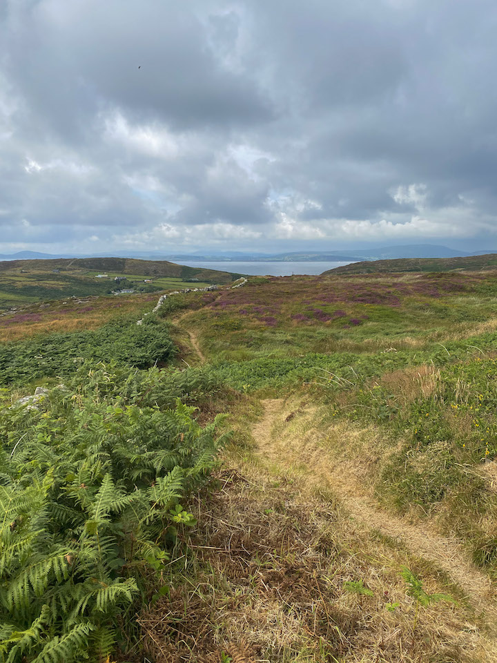 red loop walk in cape clear