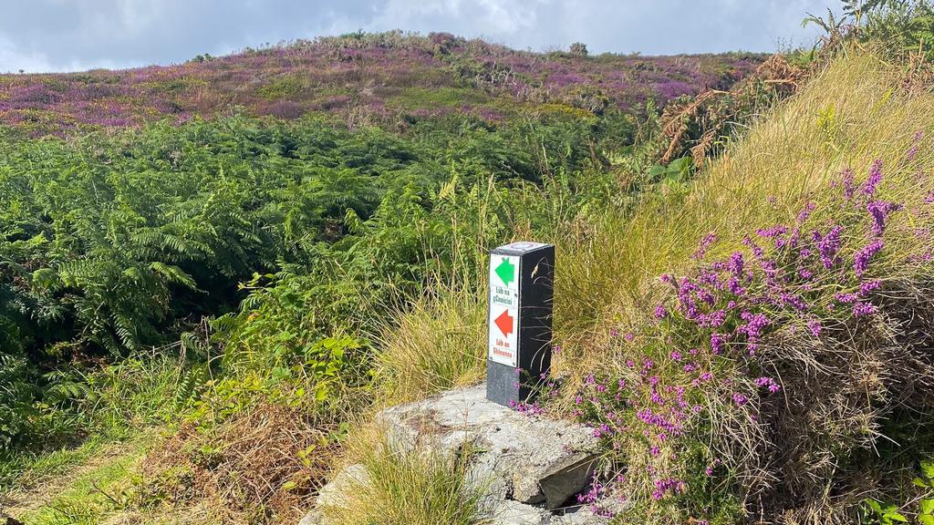 cape clear - west cork