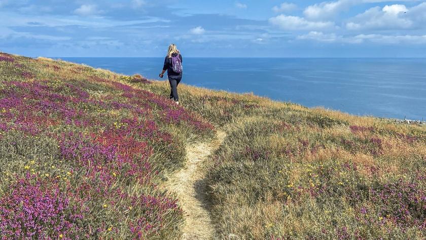 Cape Clear - Beara Peninsula