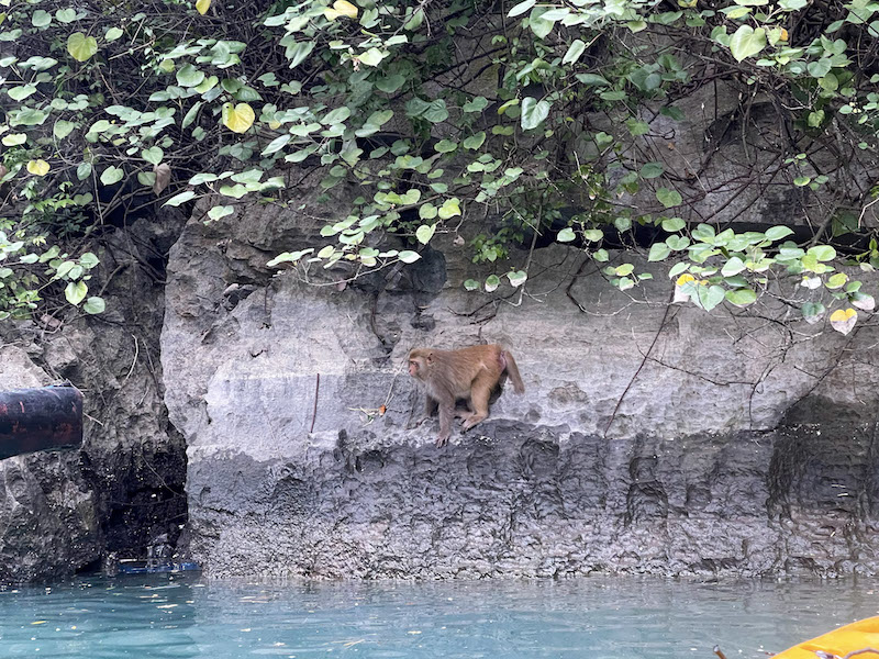 kayaking Hang Lu?n