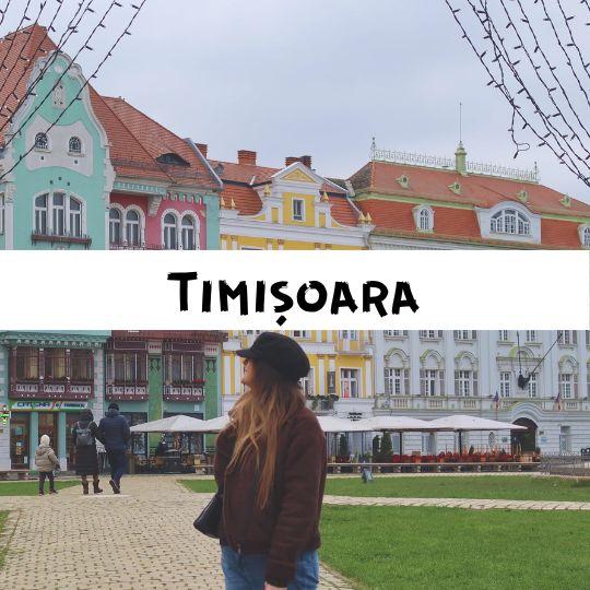 Timisoara christmas market - all you need to know
