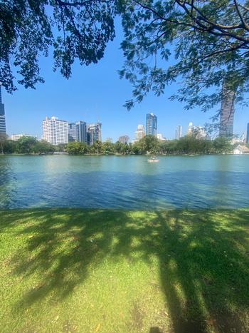 view from Lumpini Park that is part of this 4 day Bangkok itinerary