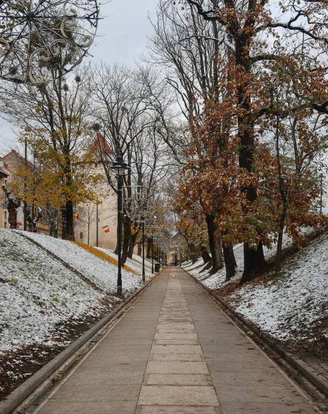 town park sibiu romania