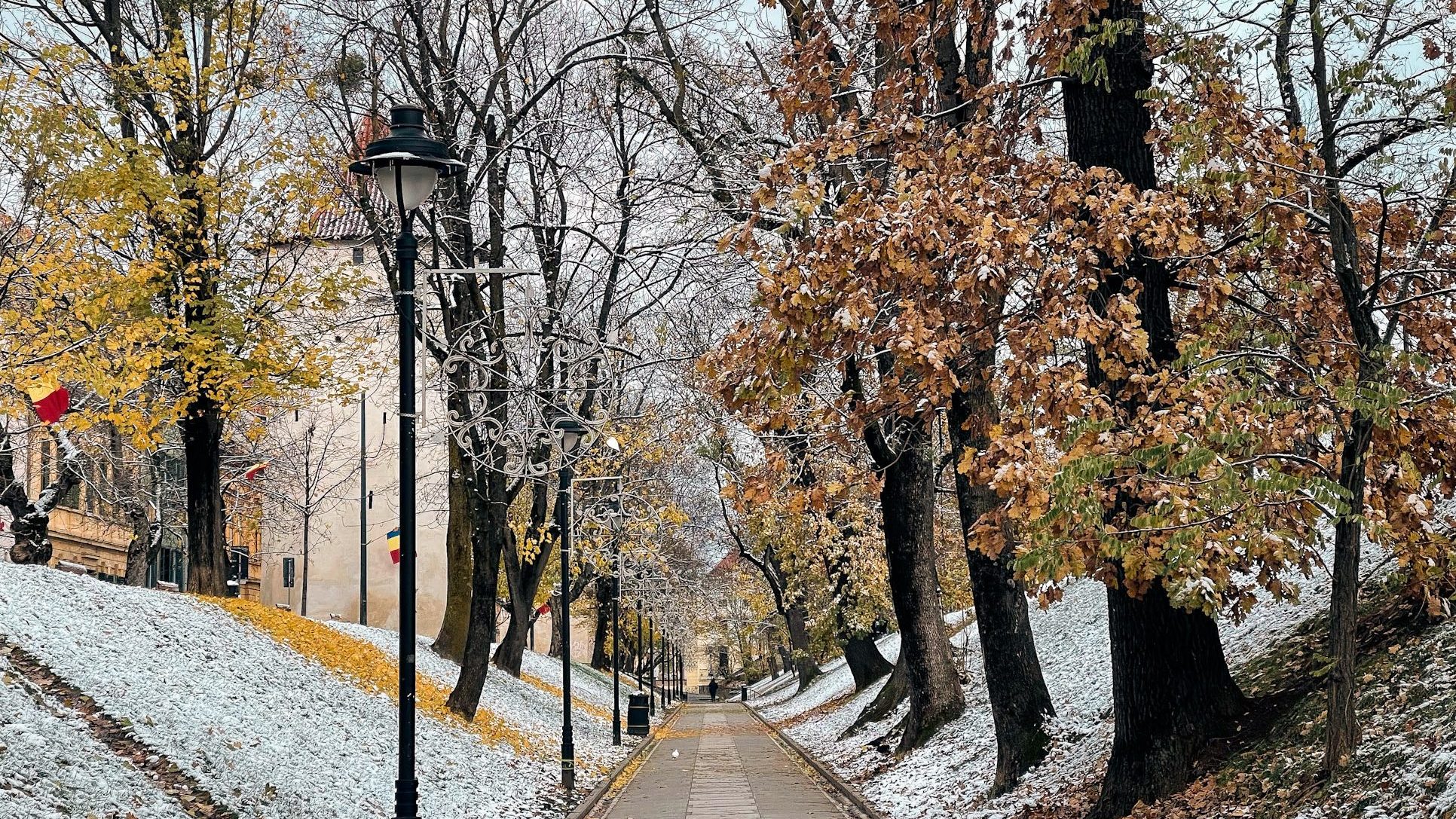 Parcul Cet??ii in Sibiu on a snowy day