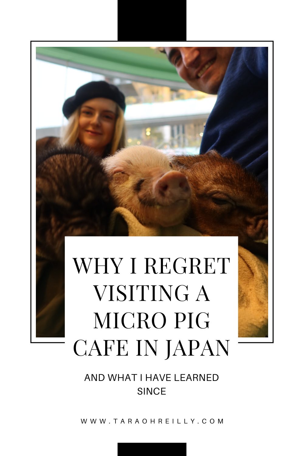 pin of my review of mipig cafe Japan