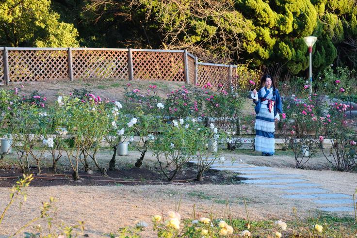 geisha in Nakanoshima Park | Where to stay in Osaka