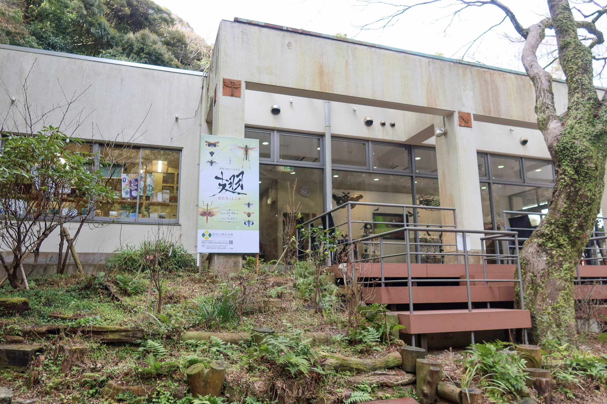 Minoh Park Insectarium - Osaka day trip