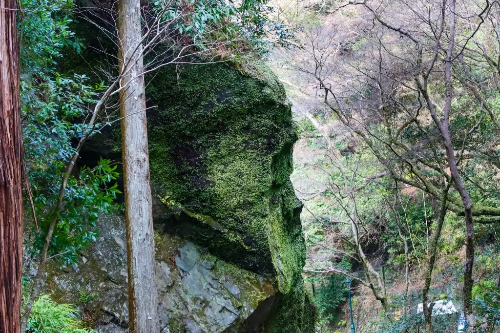 gorilla rock minoh falls