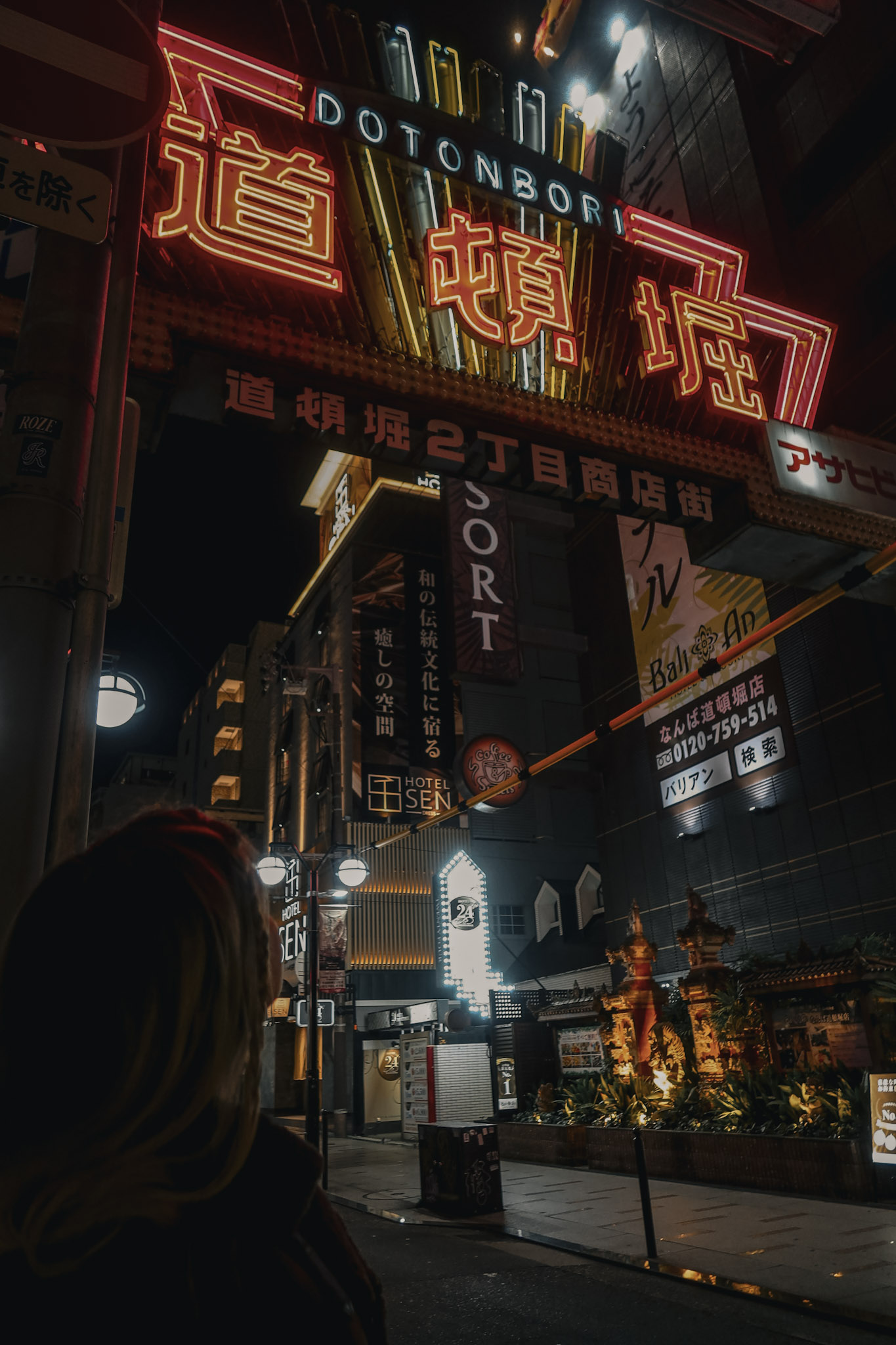 Dotonbori at night - Tara Oh Reilly