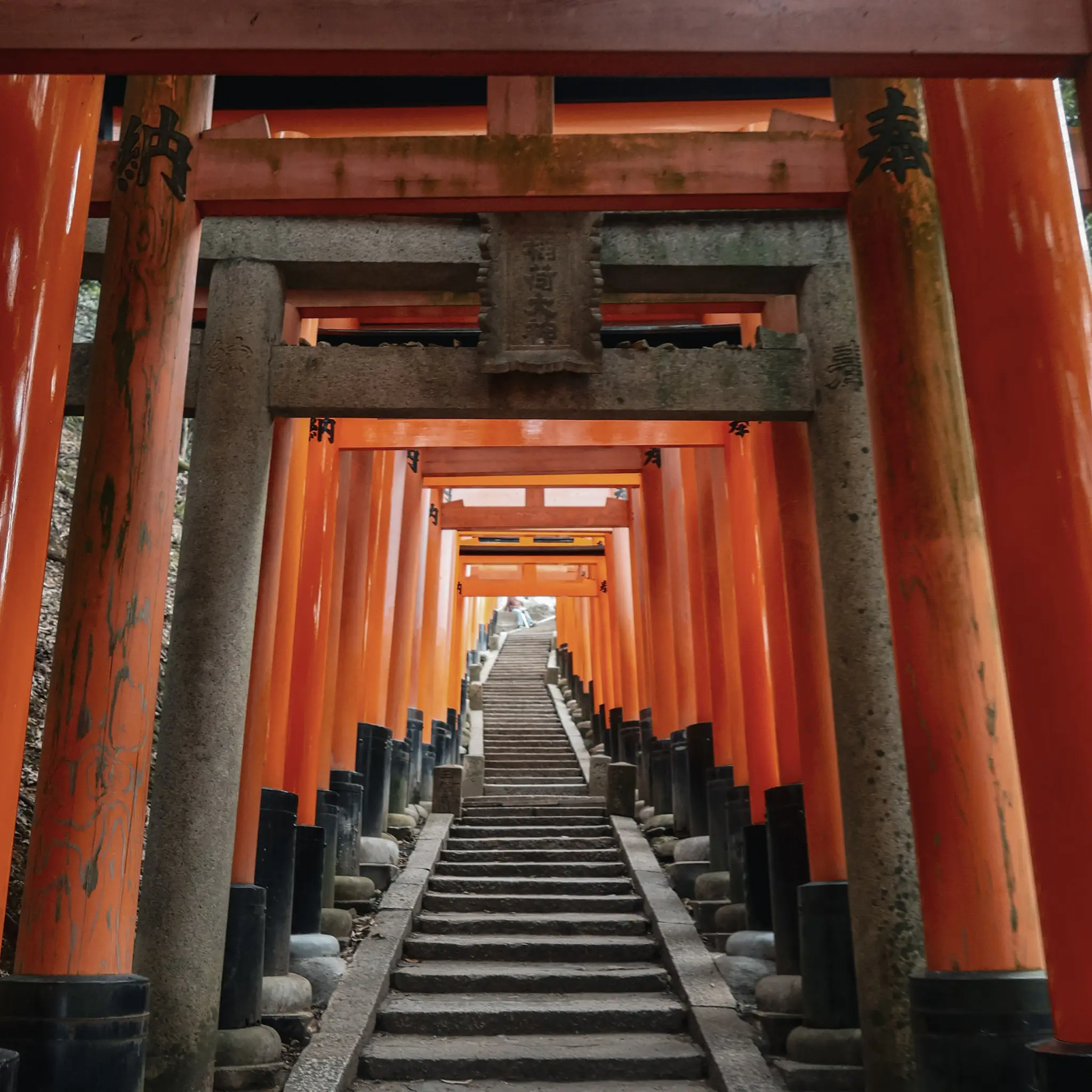 Hiking Fushimi Inari-Taisha | 2024 Guide