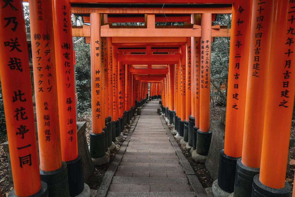 orange tori gates of Fushimi Inari hike