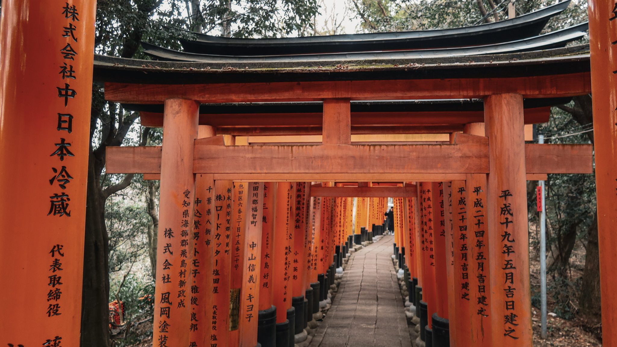 tori gates while hiking Fushimi Inari