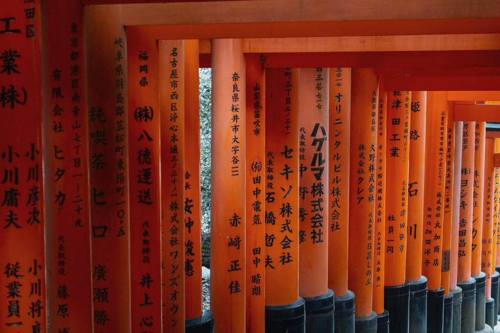 tori gates of fushimi-inari in Kyoto