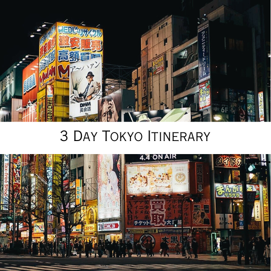 3 day Tokyo itinerary - Tara Oh Reilly