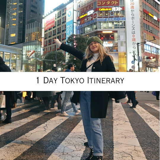 1 day in Tokyo itinerary - Tara O'Reilly / Tara Oh Reilly