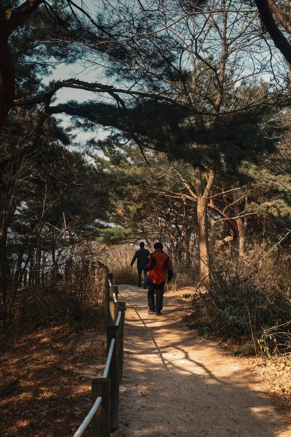 namsam tower seoul things to do