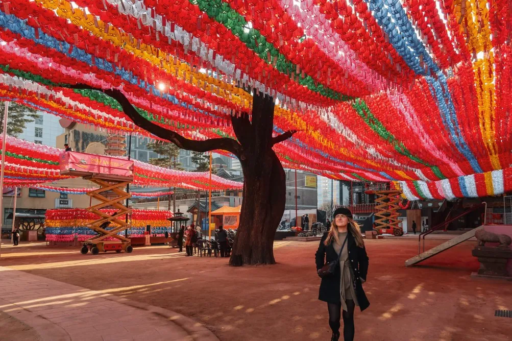 coolest things to do in seoul
