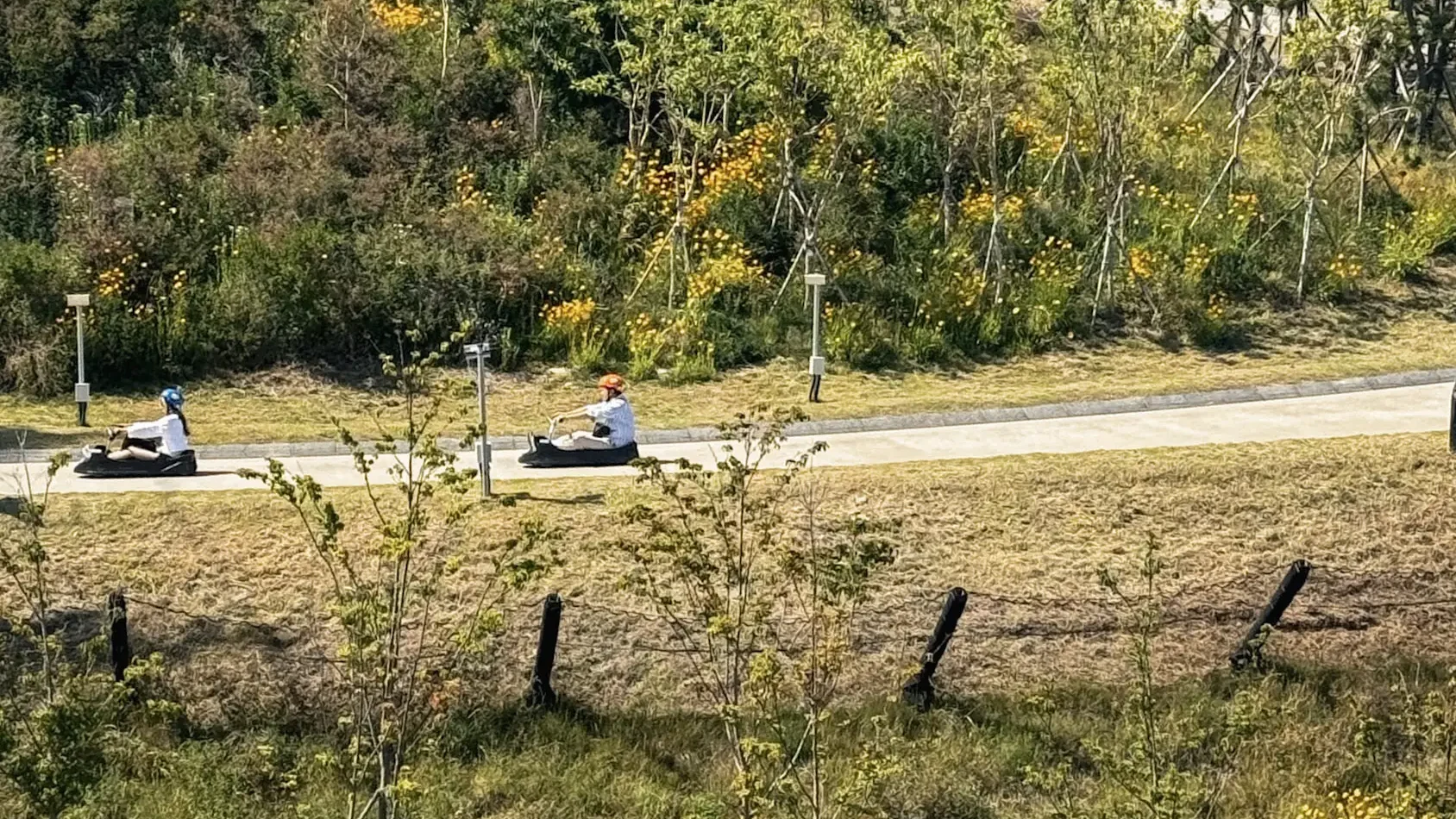 Skyline Luge track