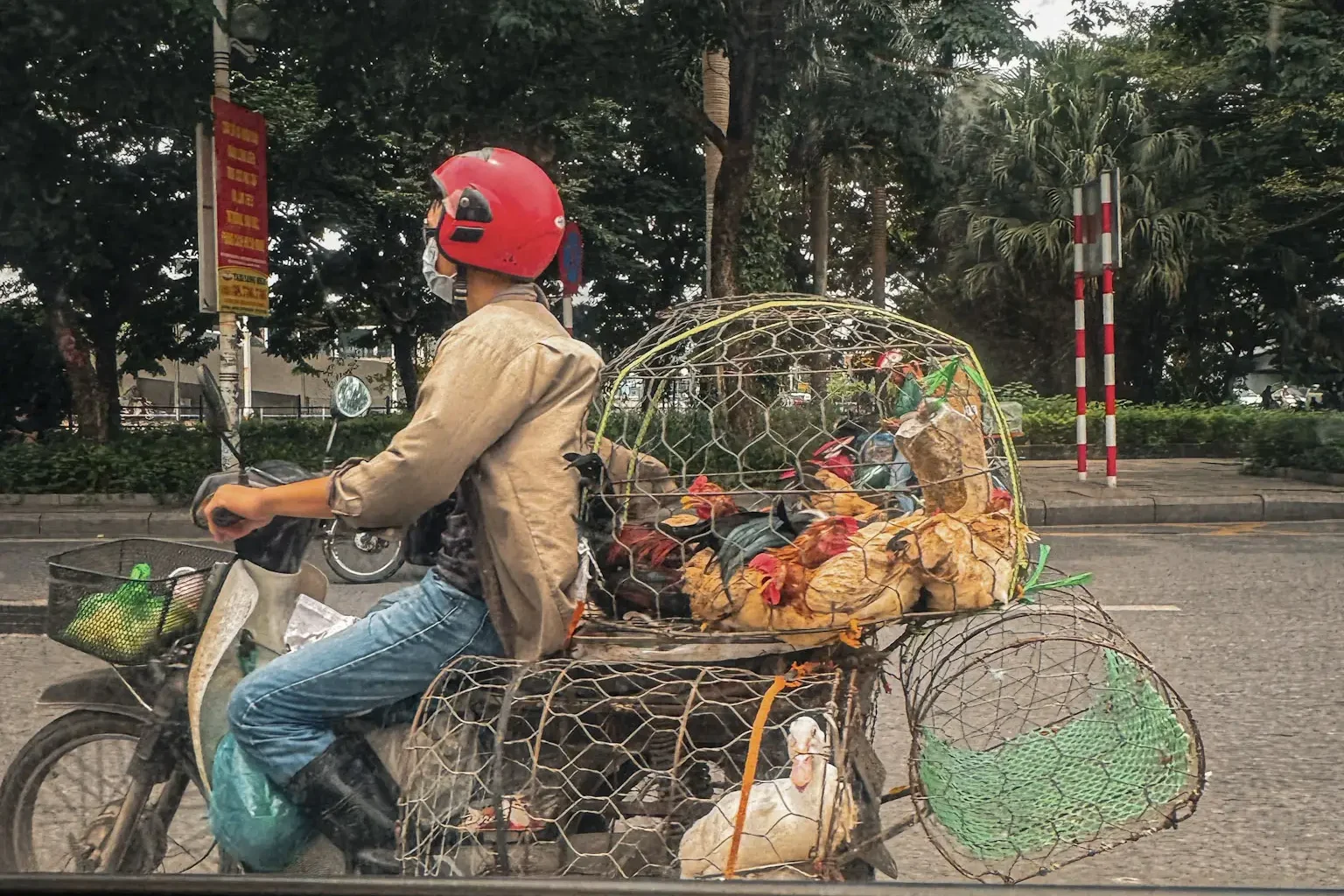 Hanoi photos motorbike funny