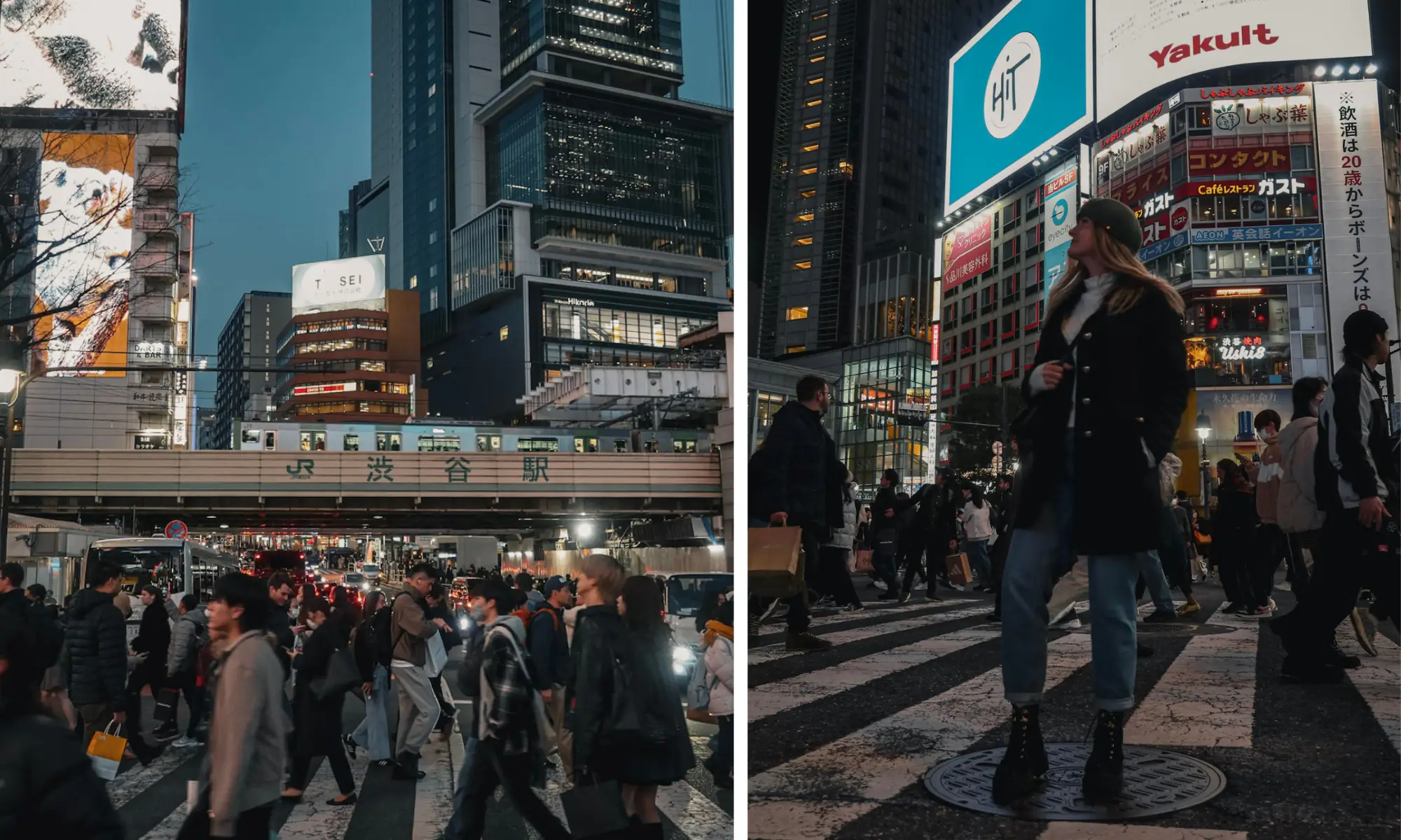 shibuya crossing tokyo itinerary