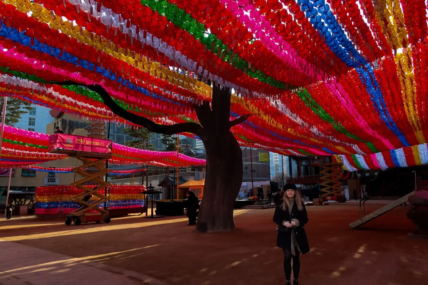 lanterns buddhas birthday tara o'reilly Jogyesa temple seoul