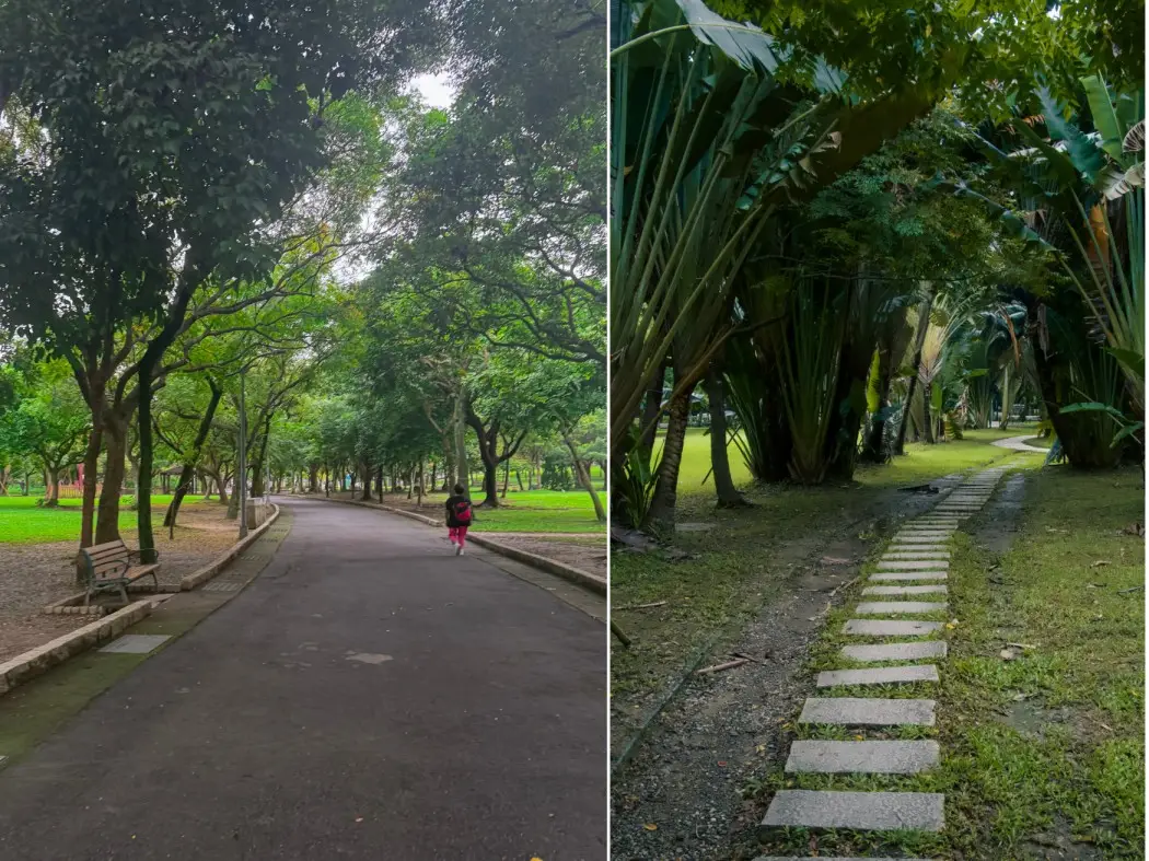 daan forest park taipei things to do