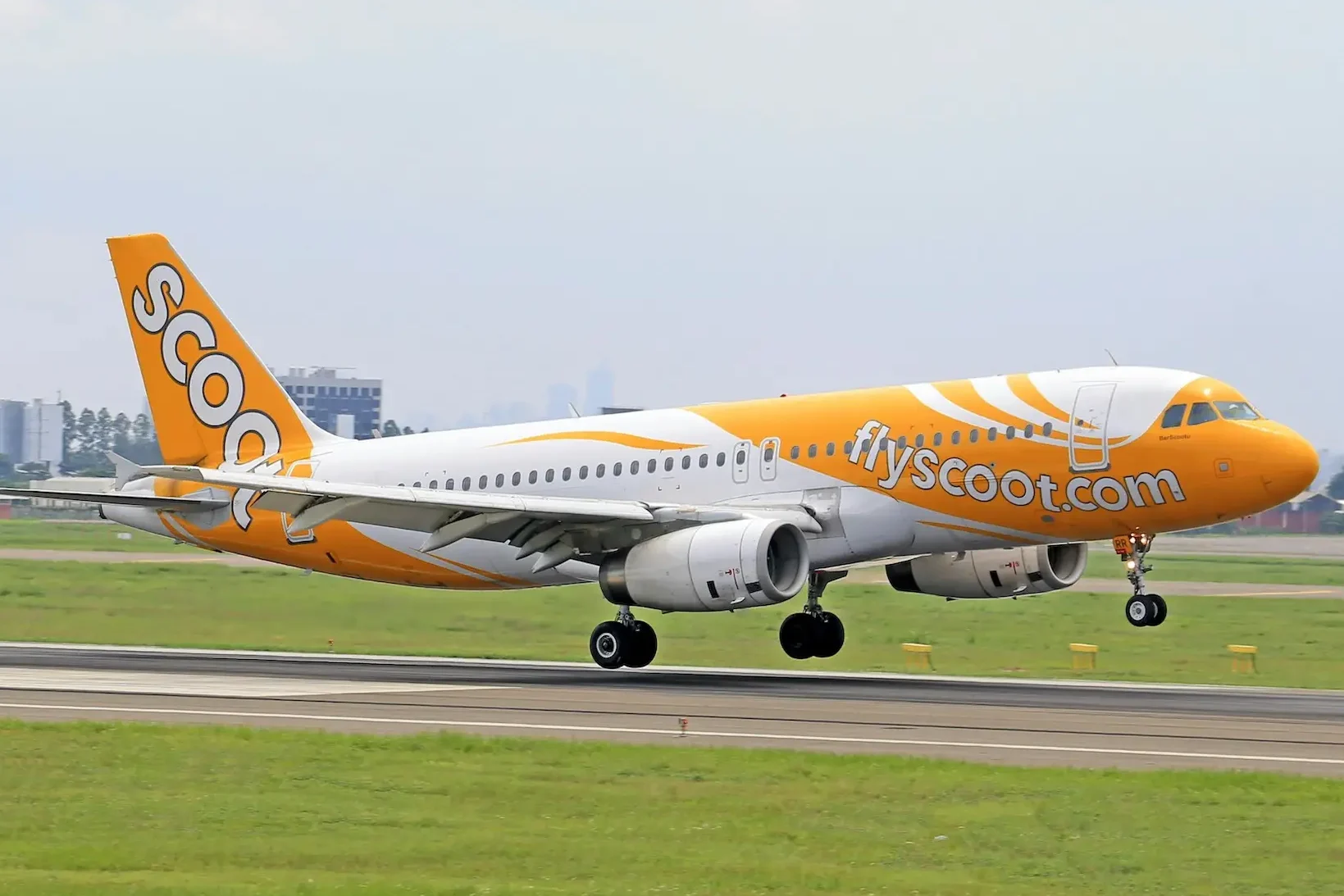 scoot airline review - asia's best budget airline