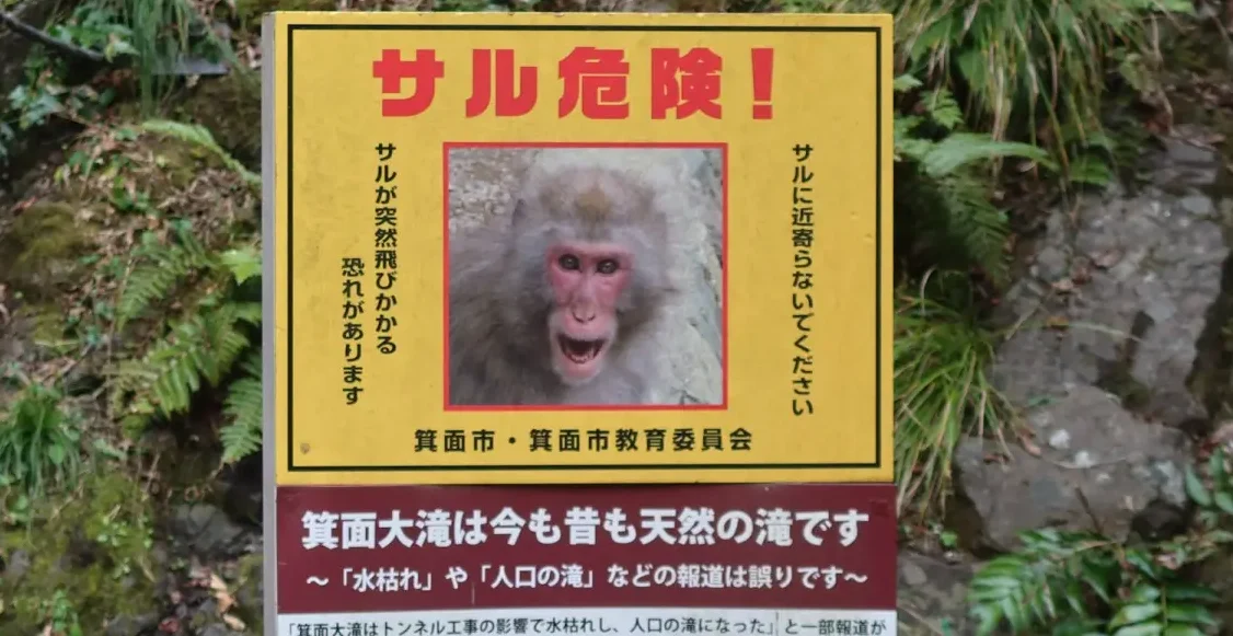 minoh park snow monkey warning