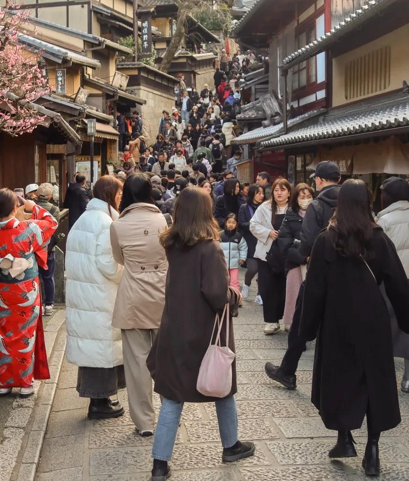 what to expect in Kyoto