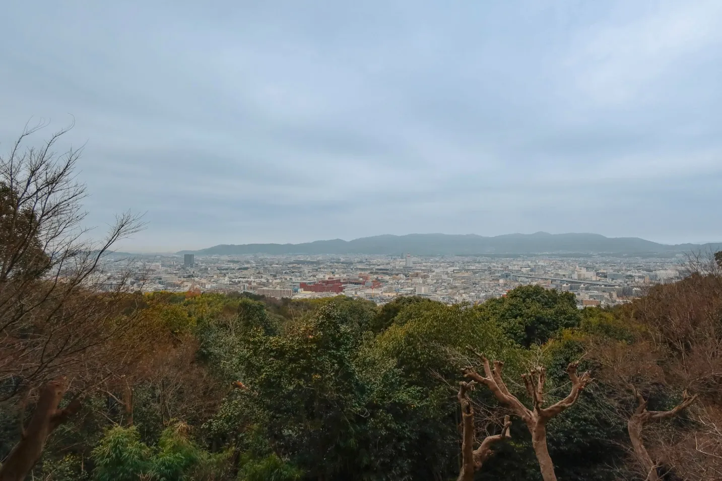 mt inari observation deck 1 day kyoto itinerary