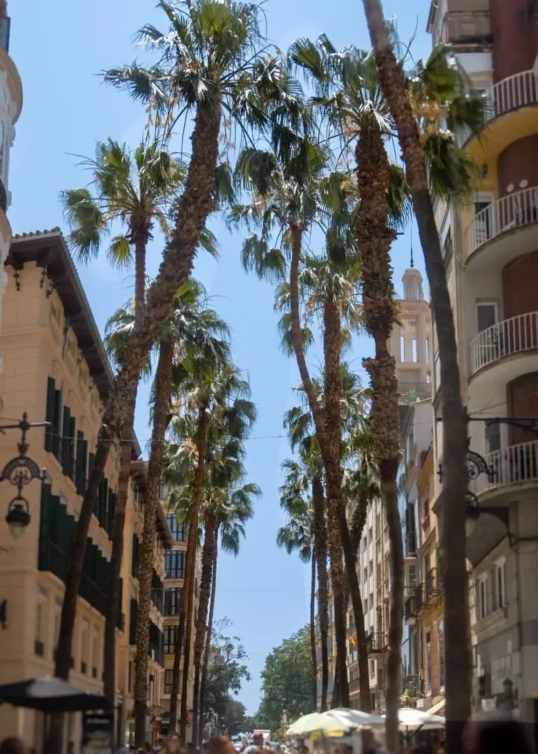 1 day itinerary malaga